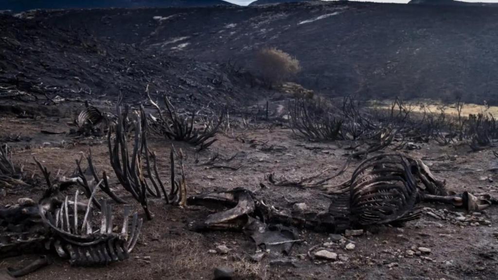 Incendio de Navalacruz, en Ávila.