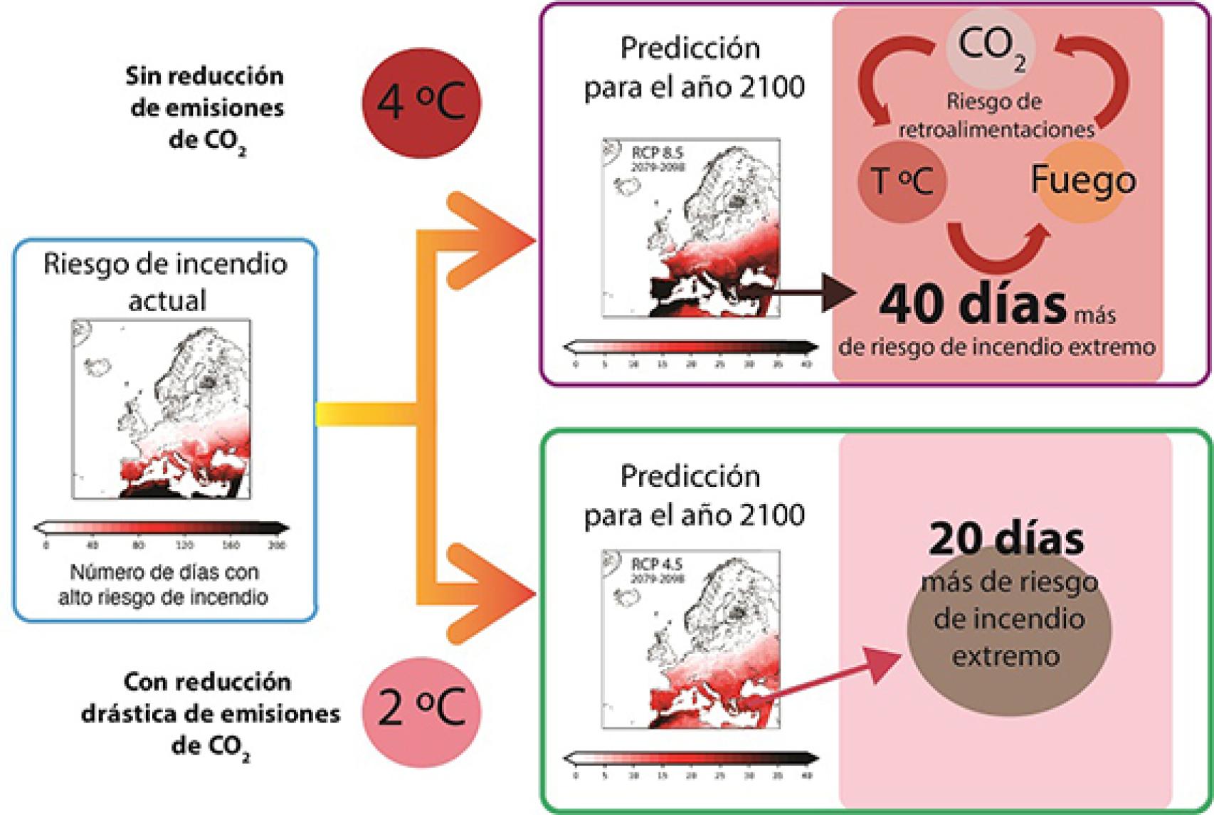 Cambio en el riesgo de incendios esperable en las próximas décadas.