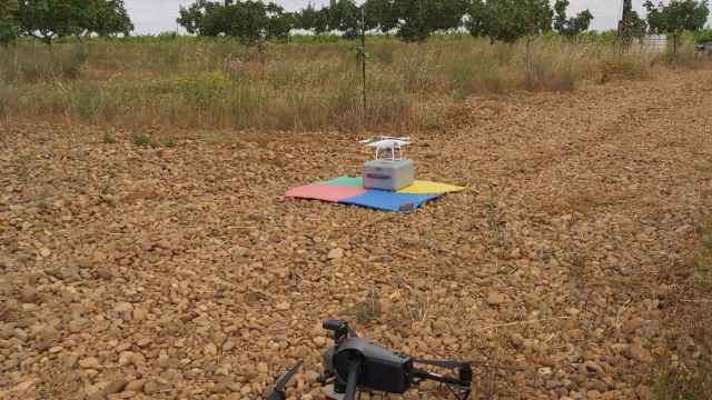 Imagen de los drones puestos por Grupo Pistacyl en el cultivo