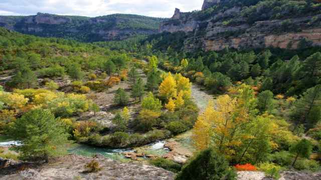 Parque Natural del Alto Tajo: Foto: Junta de Comunidades de Castilla-La Mancha