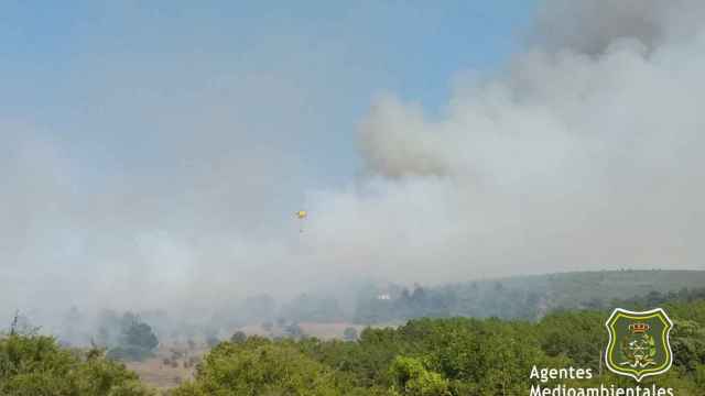 Incendio forestal en Honrubia de la Cuesta