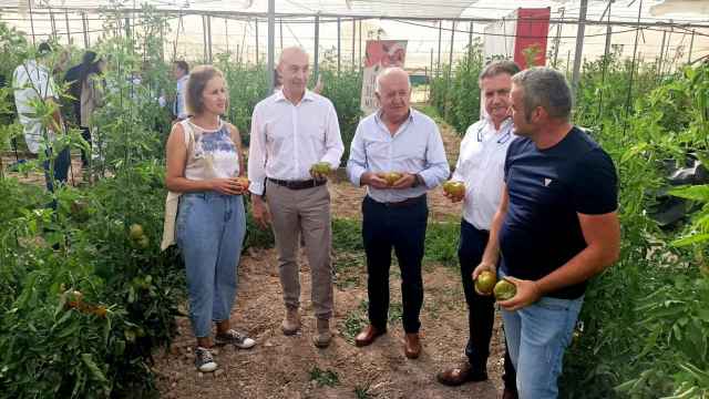 Sebastián Cañadas y Lara Llorca en la presentación de la campaña del 'Tomate de Muchamiel' 2022.