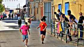 Festejos taurinos en Cigales