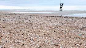 La playa de La Pineda, en Tarragona, llena de pellets, a 10 de diciembre de 2021.