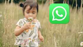 Pixelar fotos en WhatsApp