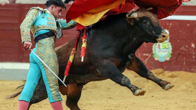 Alejandro Chicharro se proclama vencedor del certamen Alfarero de Plata