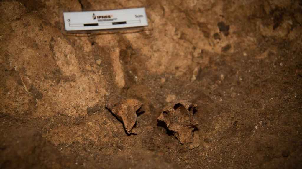 Los restos humanos hallados en la Sima del Elefante. Foto: María Dolors Guillén (EIA)