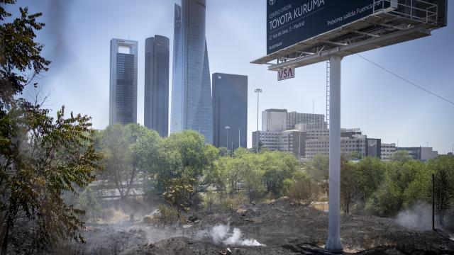 Las tierras calcinadas en el incendio producido este viernes en el norte de Madrid.