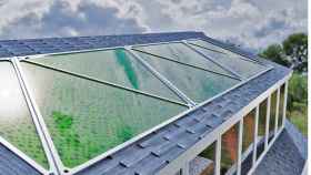 Los biopaneles podrían sustituir a las placas solares