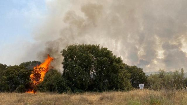 Imagen del fuego entre Castroñuno y Pollos