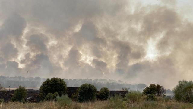 Incendio en la Reserva natural Riberas de Castronuño – Vega Duero