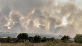 Incendio en la Reserva natural Riberas de Castronuño – Vega Duero