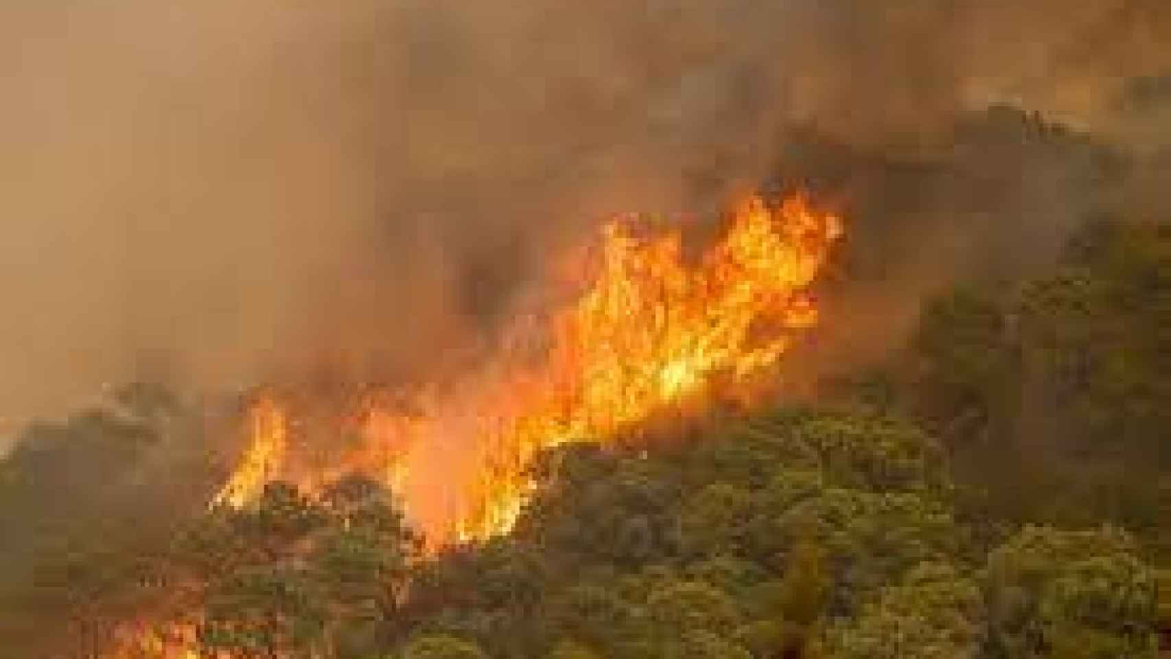 Una imagen del Incendio de Sierra Bermeja.