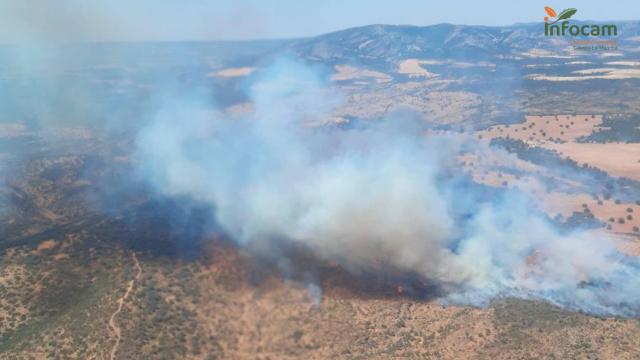 Declarados varios incendios forestales en terrenos agrícolas de Castilla-La Mancha