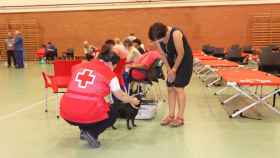 Voluntaria de Cruz Roja Zamora acaricia un perro en el albergue en Alcañices