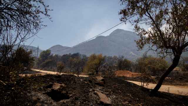 Terreno calcinado por el incendio en la Sierra de Mijas.