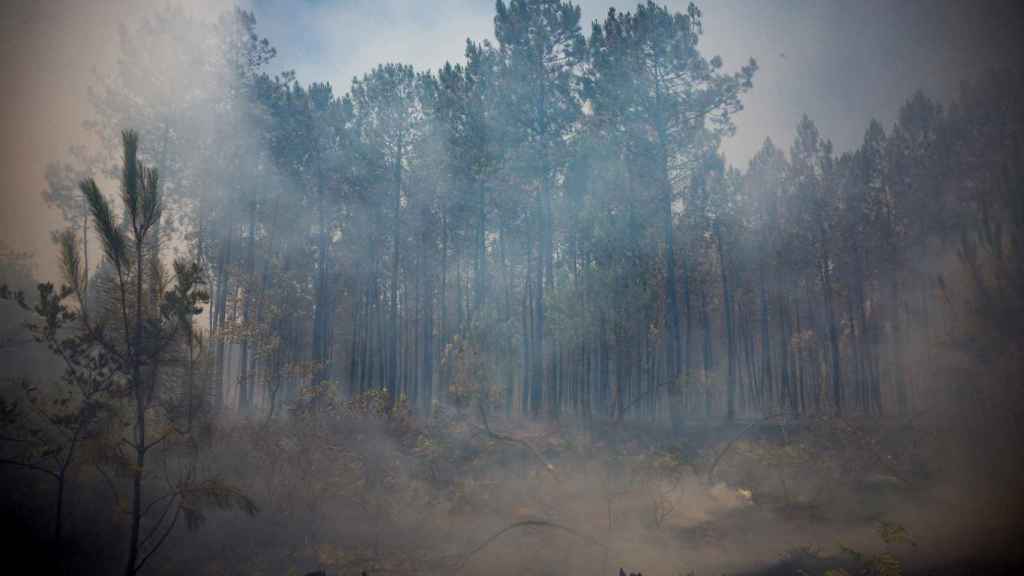Incendio forestal cerca de Louchats, en la región de Gironde.