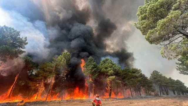 Un miembro de la UME trabaja sobre un incendio forestal.