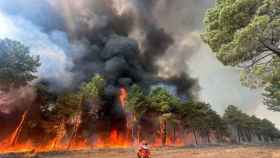 Un miembro de la UME trabaja sobre el incendio forestal de Monsagro