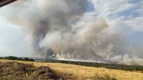 Sube a nivel 2 el incendio de Losacio en Zamora