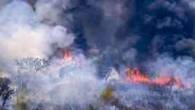Aspecto de uno de los incendios de Extremadura durante este sábado 16 de julio