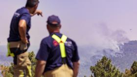 Incendio en Cebreros (Ávila)