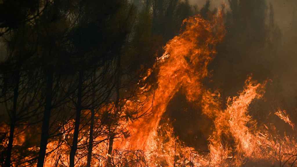Incendios provocados por las altas temperaturas en el sur de Francia.