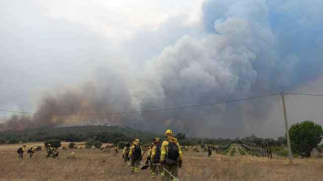 Incendio Forestal en Losacio Fotografía: @AT_Brif