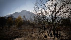 Las zonas afectadas por los incendios se han transformado en polo de atracción para curiosos.