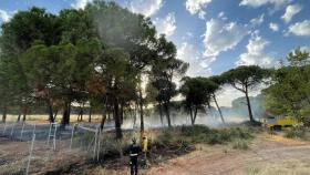 Incendio en la Senda de Los Ingleses de Laguna de Duero