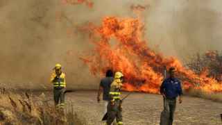 Bomberos de las Brigadas de Refuerzo en Incendios Forestales (BRIF) combaten un incendio en un campo de trigo en Tabara, Zamora, en la segunda ola de calor del año, en España, el 18 de julio de 2022.