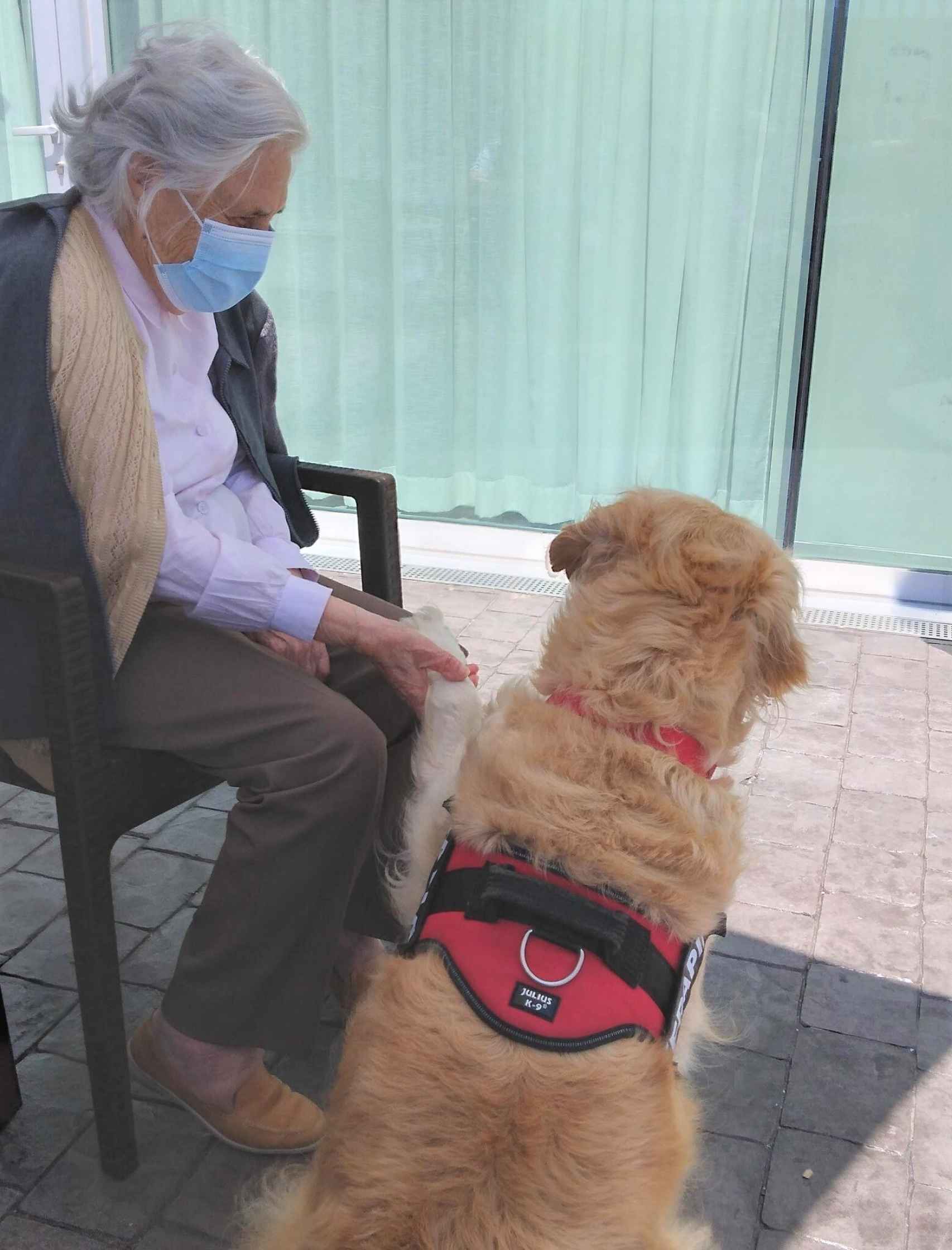 Perros y un huerto, terapias alternativas que replantean las rutinas en las  residencias de mayores