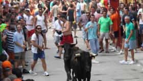 Foto: Fundación Toro de Lidia.