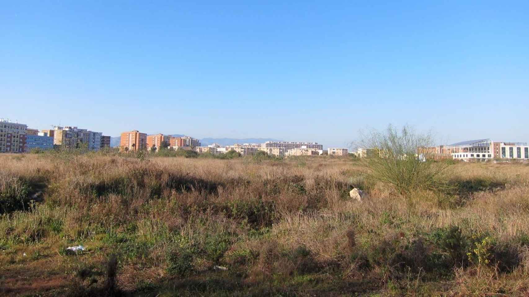 Vista de los antiguos suelos de Repsol, en Málaga.