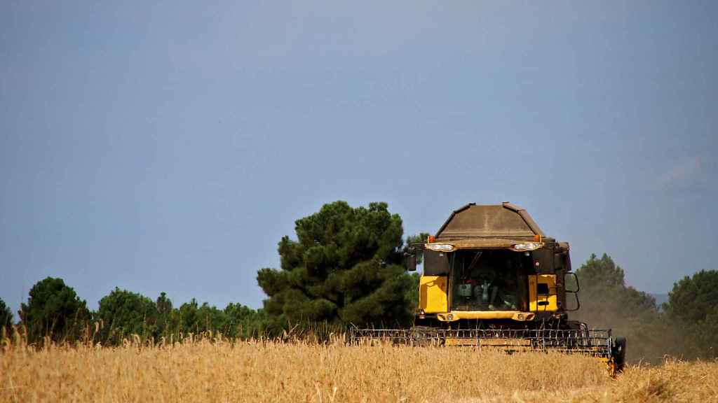 Una cosechadora atraviesa un campo de cereal en La Cepeda, León