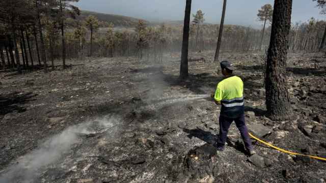 Un operario refresca el lugar del incendio forestal de Monsagro