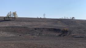 Rafael Lorenzo nos ofrece un recorrido visual por el el horror del incendio de Losacio