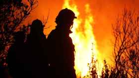 Unos bomberos forestales en un incendio en Castilla y León.