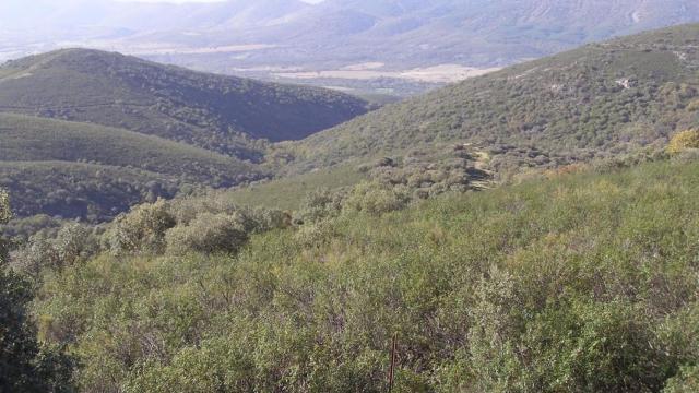 Parque Nacional de Cabañeros, entre las provincias de Ciudad Real y Toledo