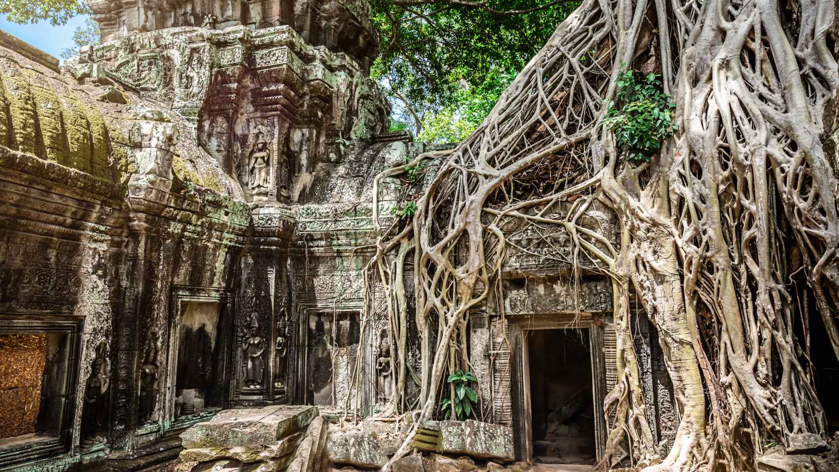 Cuando la naturaleza devora los edificios: Angkor o cómo podría ser el mundo sin humanos