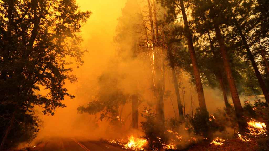 Imágenes del incendio del condado de Mariposa, en California, que ha arrasado cerca de 5.000 hectáreas
