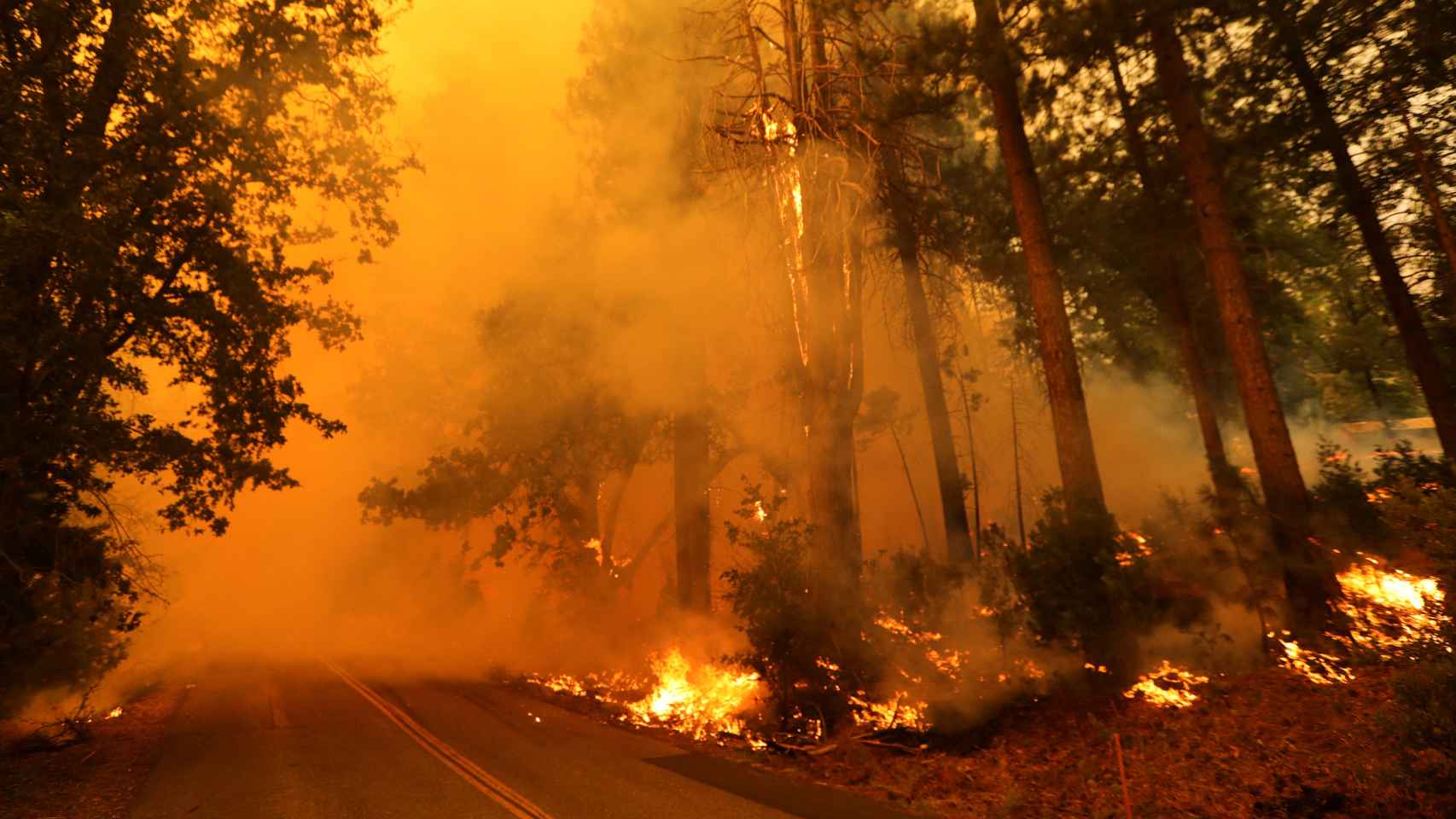 Imágenes del incendio del condado de Mariposa, en California, que ha arrasado cerca de 5.000 hectáreas