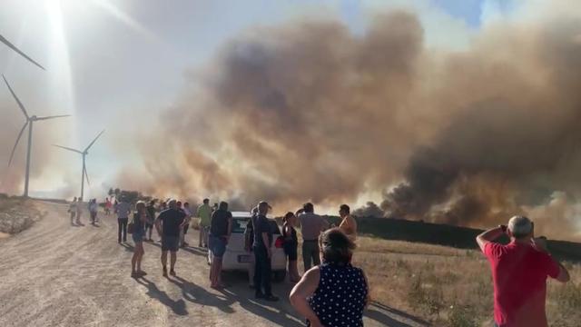 Incendio Forestal en Vegalatrave (Zamora)
