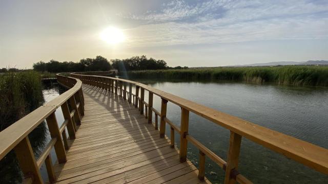 Tablas de Daimiel, en la provincia de Ciudad Real. Imagen de archivo