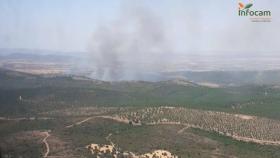 Incendio en Malagón (Ciudad Real). Foto: Plan INFOCAM.