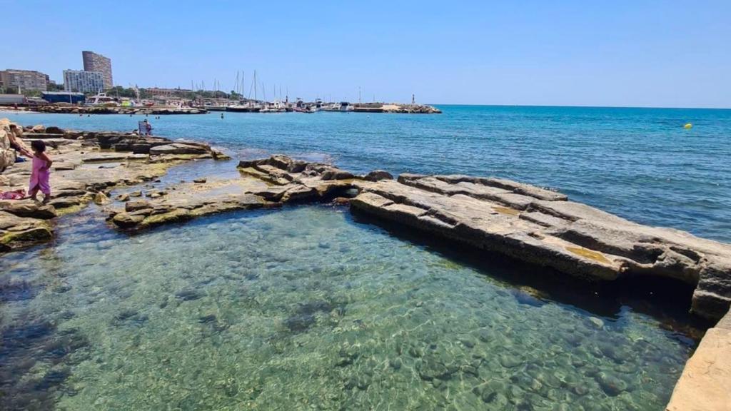 El Vivero Romano de Alicante.