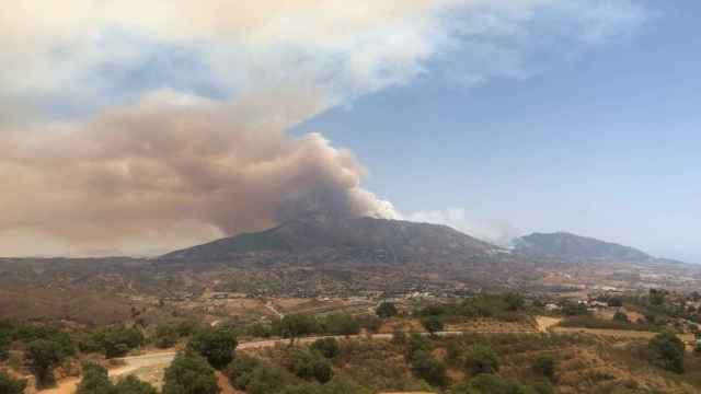 Imagen del incendio forestal en Benahavís.