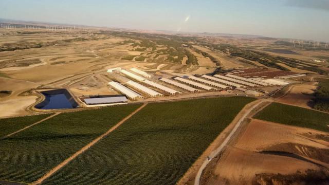 Los terrenos para desarrollar el proyecto de macrovaquería en Noviercas