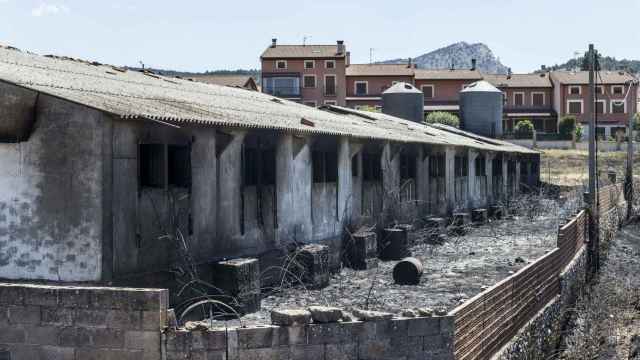 Consecuencias del incendio de Quintanilla del Coco (Burgos)