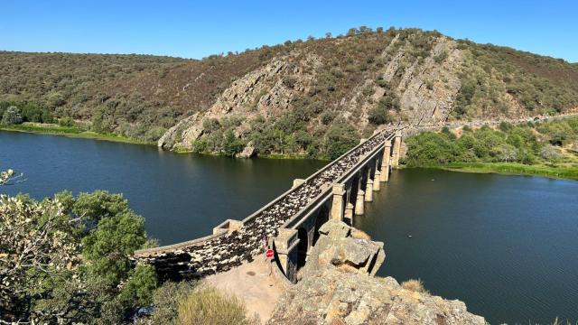 Un rebaño de 2.000 ovejas cruza el puente Quintos en la provincia de Zamora